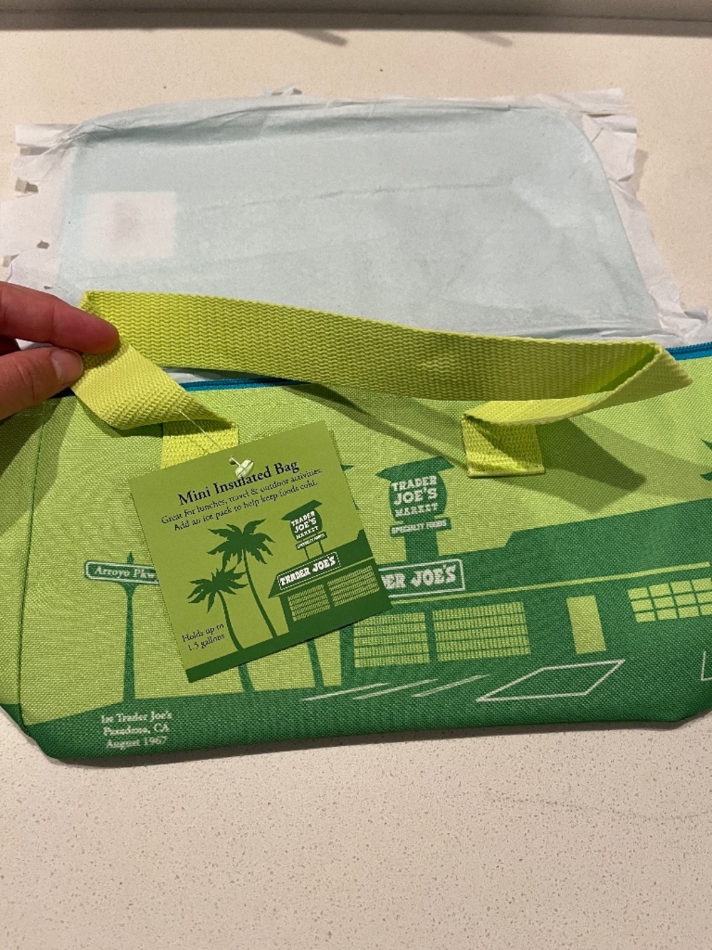 Trader Joes Mini Insulated Tote